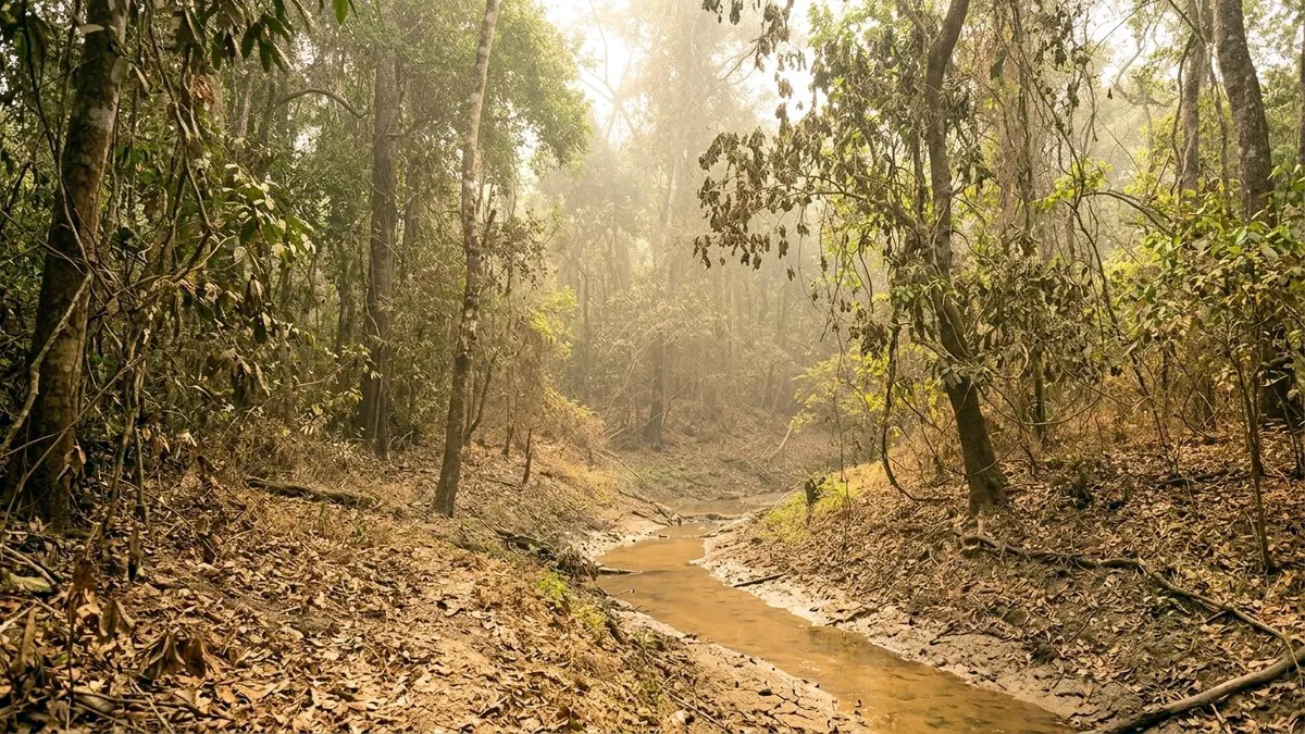 Risco de seca e fogo