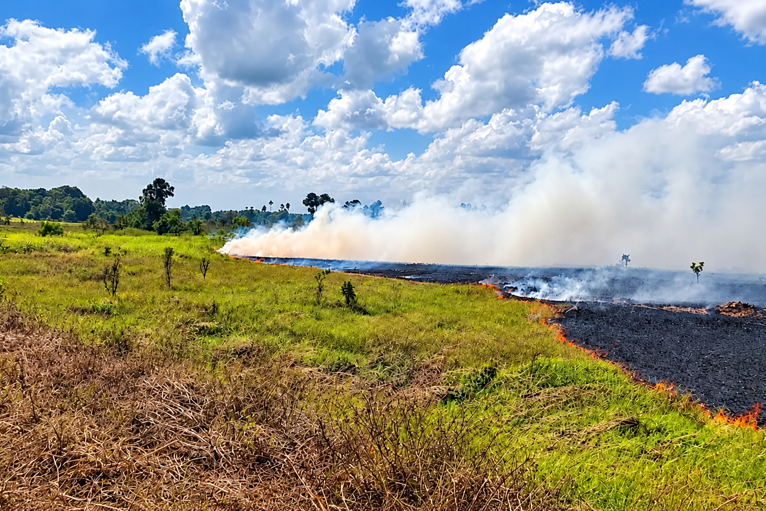 Fiscalização usa tecnologia em campo para identificar incêndios e combater crimes ambientais no Amapá